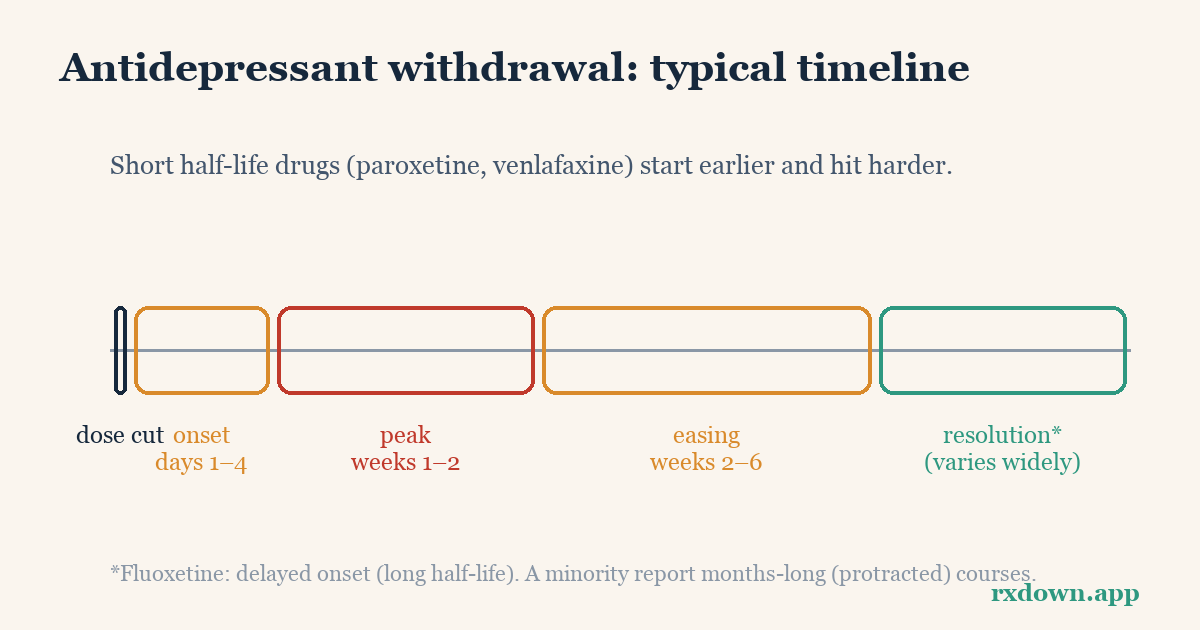 Diagram: Antidepressant Withdrawal Timeline: Symptoms & Duration