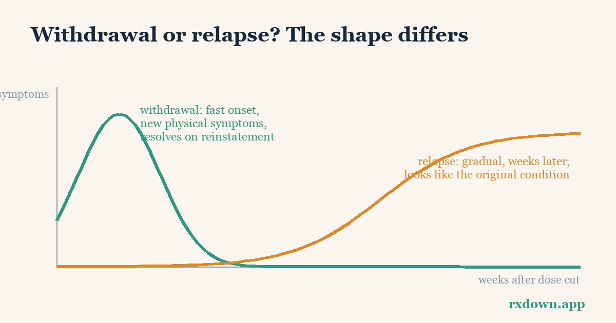 Diagram: Antidepressant withdrawal vs relapse: how to tell